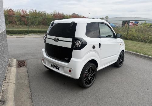 Ligier Myli Max avec Clim, Direction assistée et Carplay