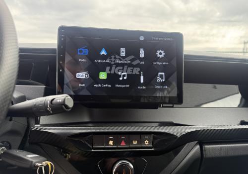 Ligier Myli Max avec Clim, Direction assistée et Carplay